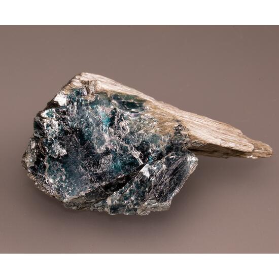 Ripidolite