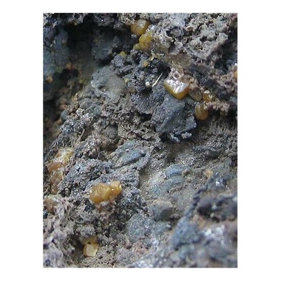 Stolzite