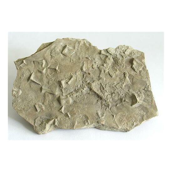 Clay Psm Halite