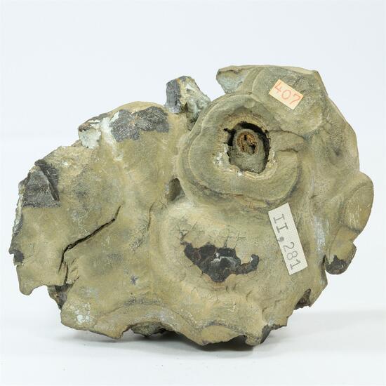 Galena Var Strickblende With Sphalerite & Calamine