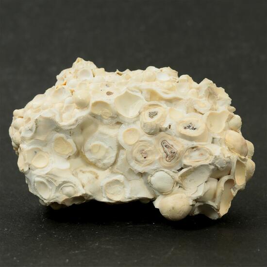 Aragonite Var Erbsenstein
