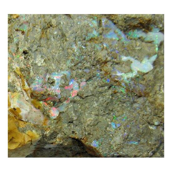 Opal