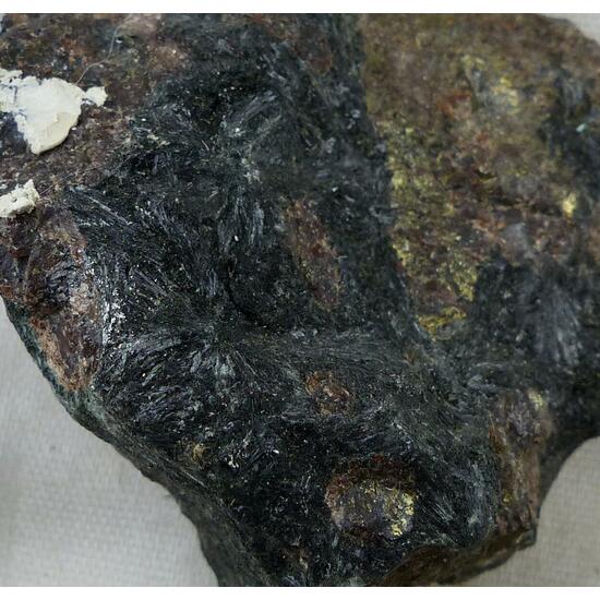 Hornblende & Almandine