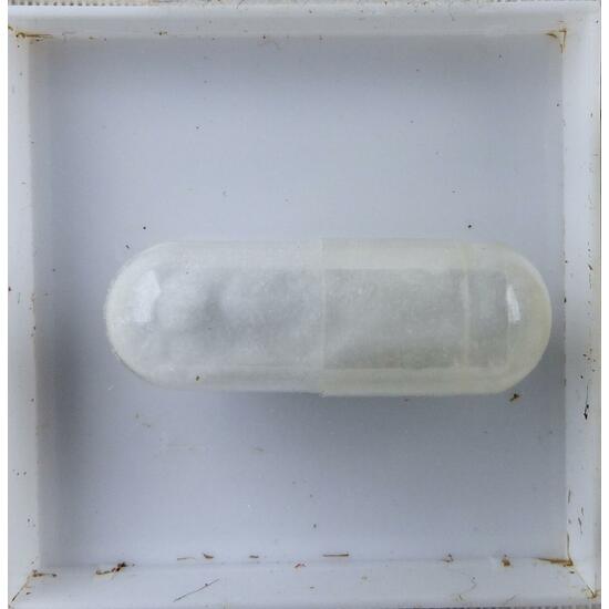 Howlite