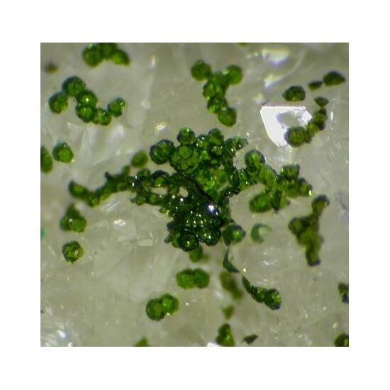 Mcalpineite & Xocomecatlite