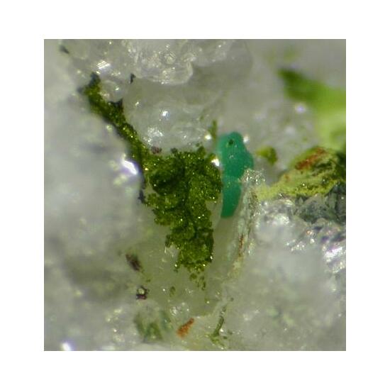 Mcalpineite & Xocomecatlite