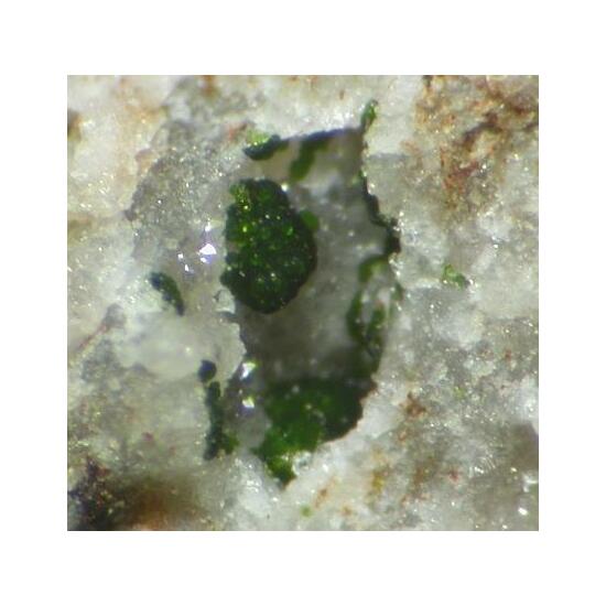 Mcalpineite & Xocomecatlite