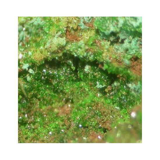 Avdoninite