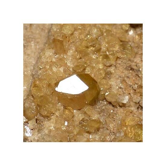 Clinozoisite