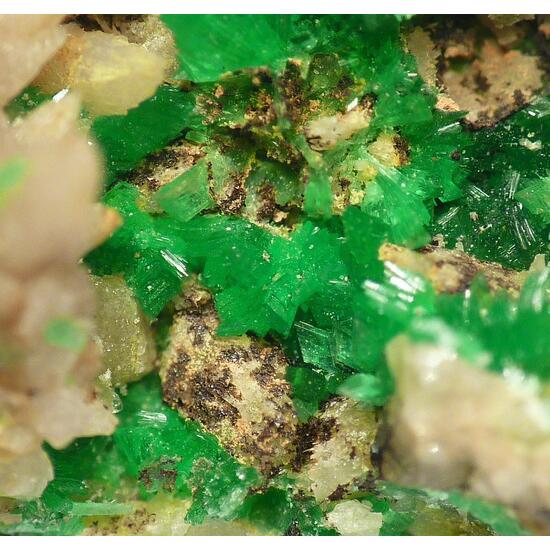 Annabergite