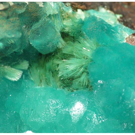 Smithsonite & Aurichalcite