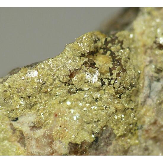 Beyerite