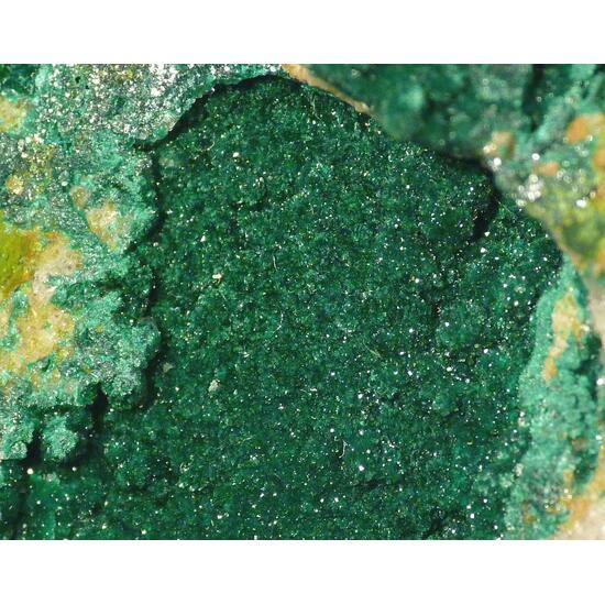 Reichenbachite