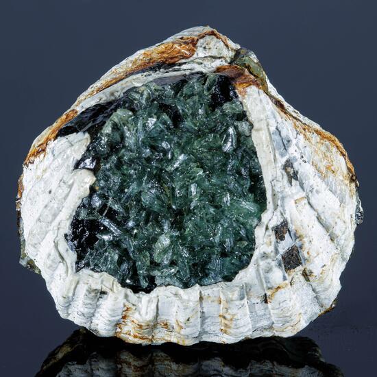 Anapaite & Fossil