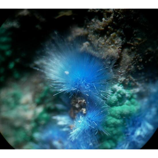 Cyanotrichite & Malachite