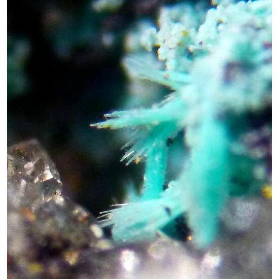 Chrysocolla Duhamelite & Shattuckite
