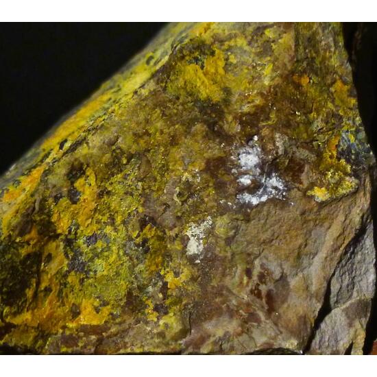 Schoderite & Vashegyite
