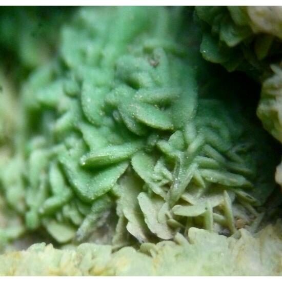 Pyromorphite & Baryte