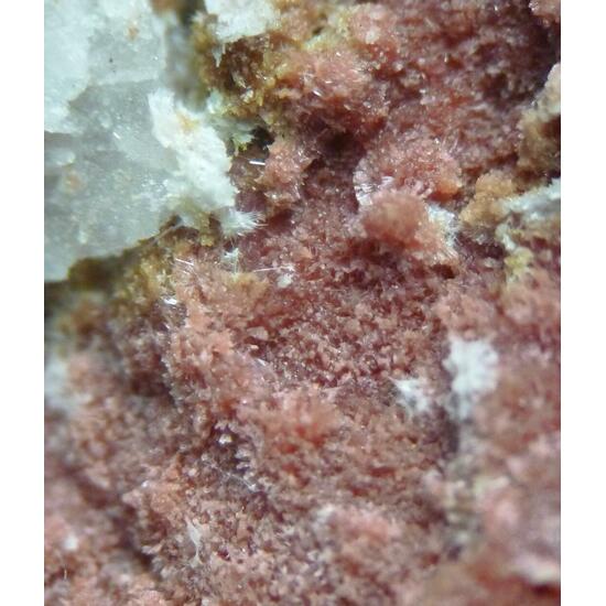 Epidote Var Withamite & Tremolite