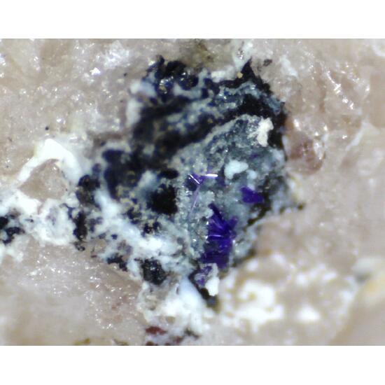 Elyite