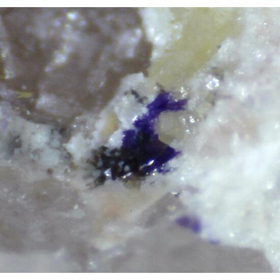 Elyite