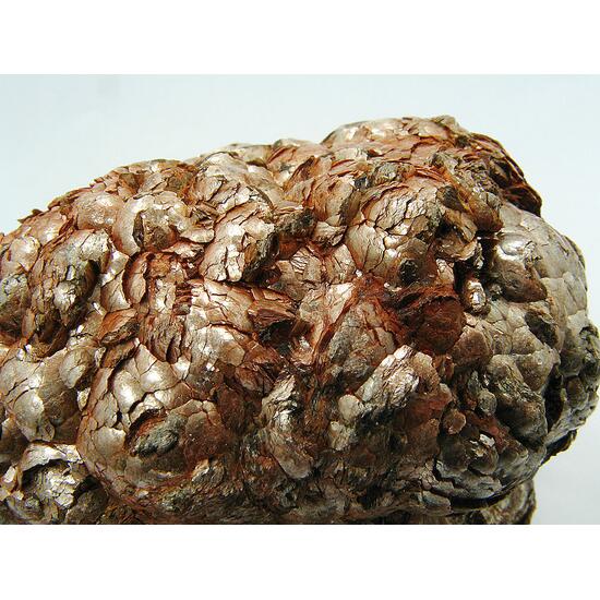 Muscovite