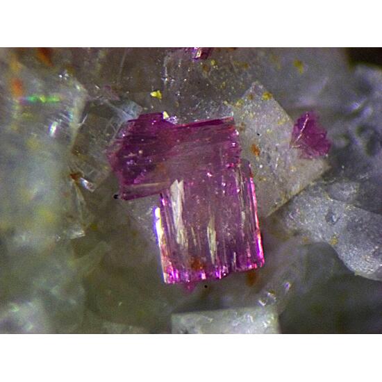 Cobaltoan Adamite