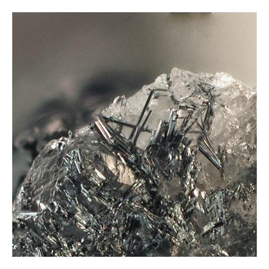 Bernarlottiite