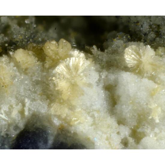 Adranosite-(Fe)