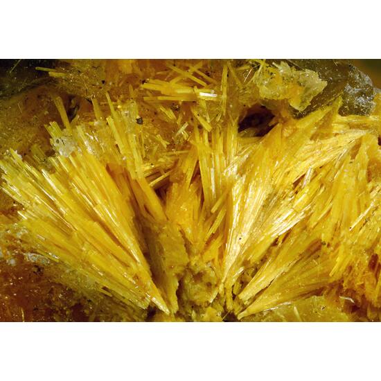 Boltwoodite