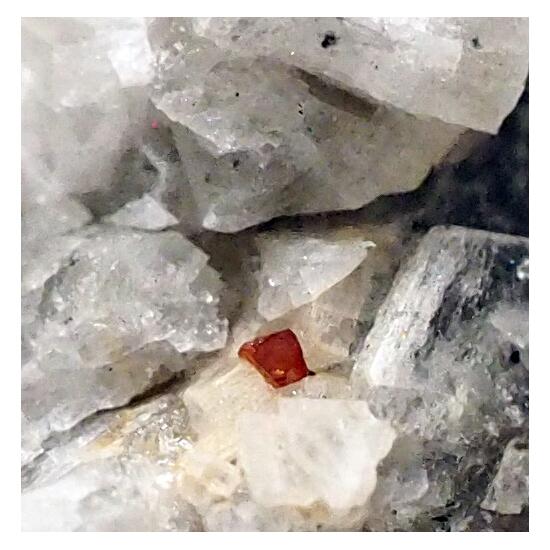 Fluornatropyrochlore & Apatite