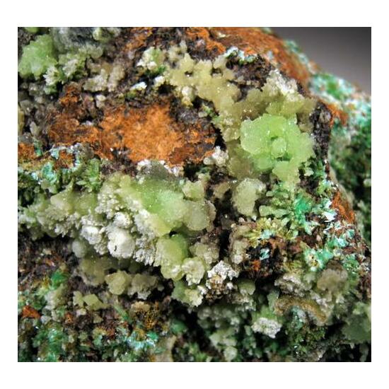 Gaspéite With Annabergite