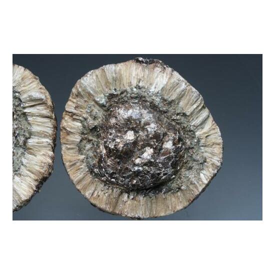 Anthophyllite Var Hermanov Sphere