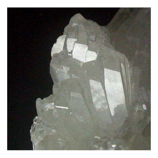 Colemanite