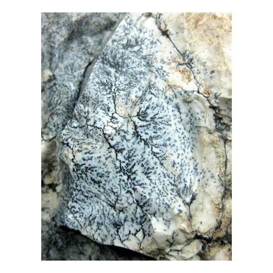 Opal With Manganese Dendrites