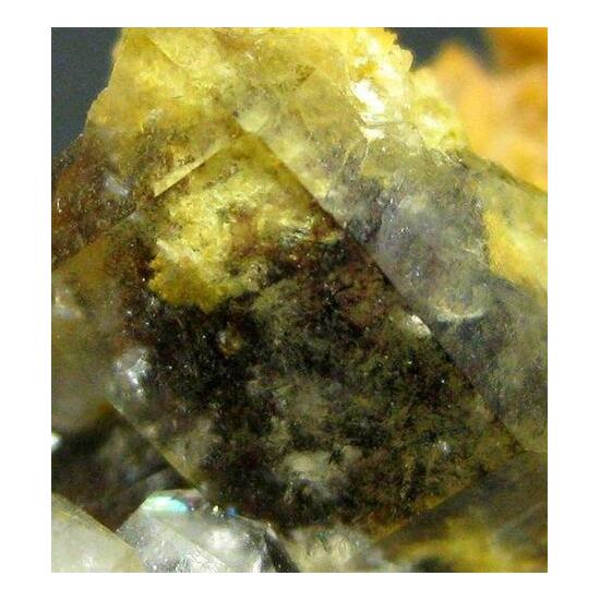 Quartz Var Eisenkiesel Psm Fossil Bacteria Inclusions