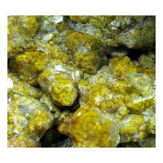 Quartz Var Eisenkiesel With Fossil Fungi Mycelium