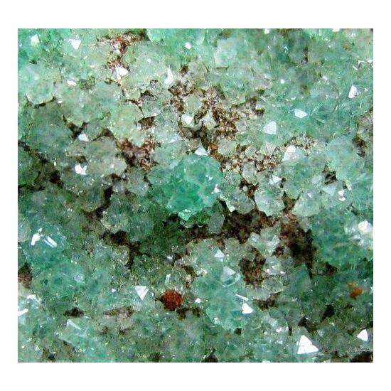 Cuprian Adamite