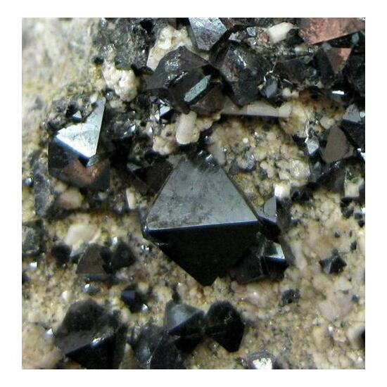 Magnetite & Carbonate-rich Hydroxylapatite