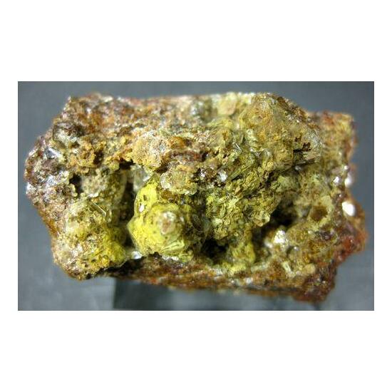 Quartz Var Eisenkiesel Psm Fossil Bacteria