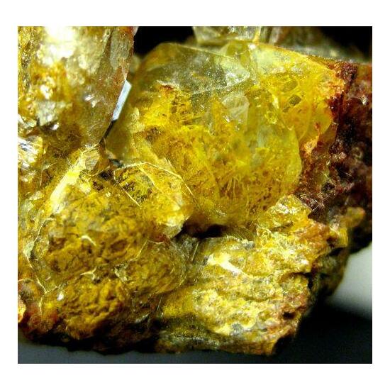 Quartz Var Eisenkiesel Psm Fossil Archaea Bacteria Gold Fossil Fungi Mycelium