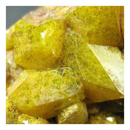 Quartz Var Eisenkiesel Psm Fossil Archaea Bacteria Gold Fossil Fungi Mycelium