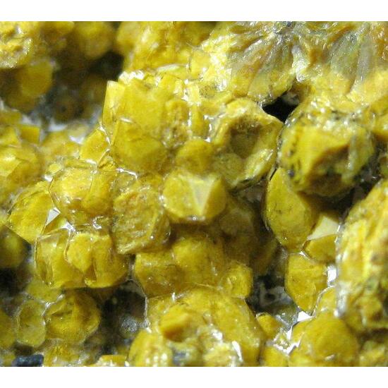 Quartz Var Eisenkiesel Psm Fossil Stromatolite