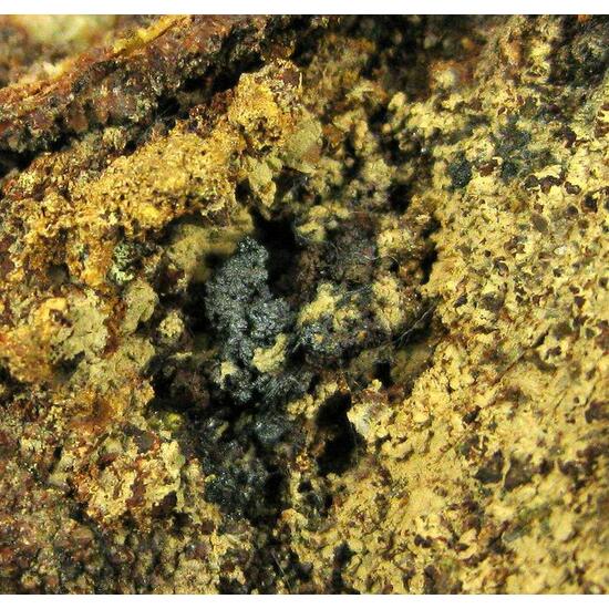 Arseniosiderite Goethite & Conichalcite