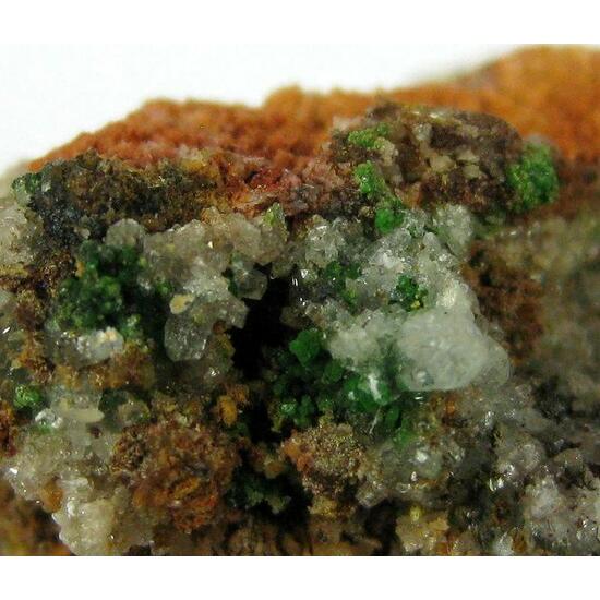 Arseniosiderite Goethite & Conichalcite