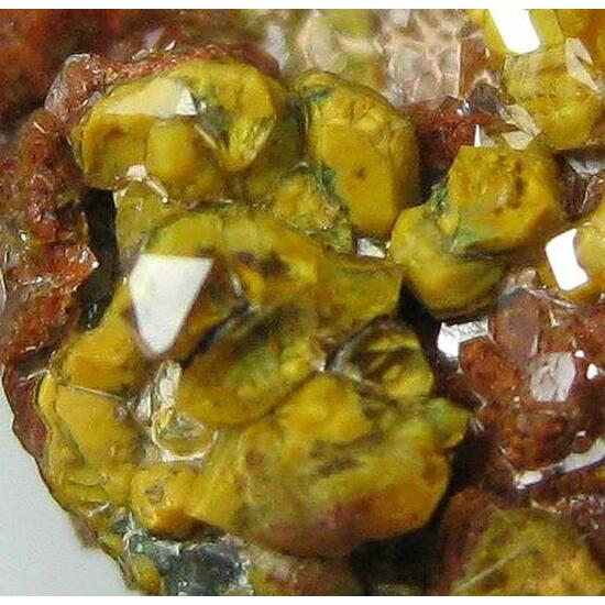 Quartz Var Eisenkiesel Psm Fossil Bacteria Inclusions