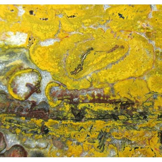 Quartz Var Eisenkiesel Psm Fossil Stromatolite