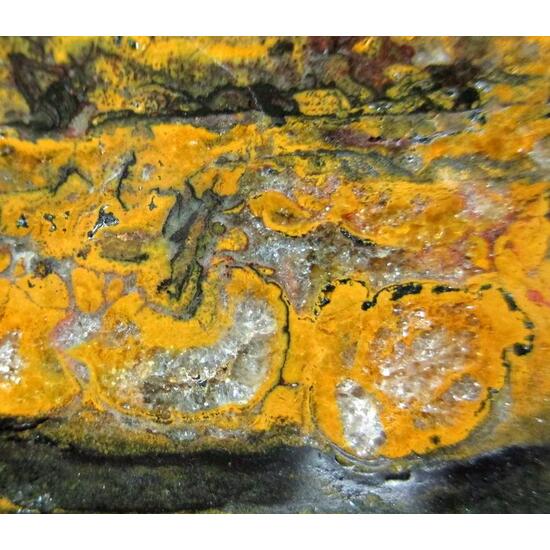 Quartz Var Eisenkiesel Psm Fossil Stromatolite