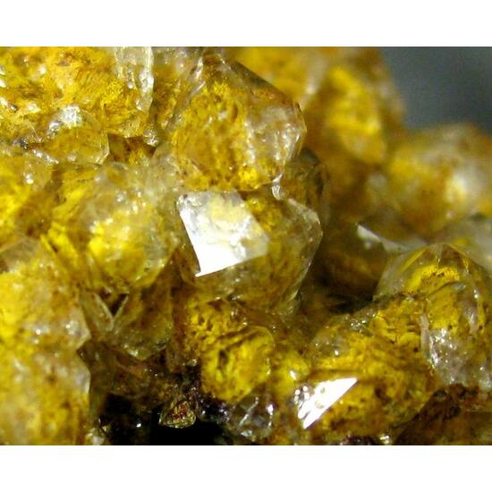 Quartz Var Eisenkiesel With Fossil Fungi Inclusions