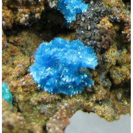Serpierite
